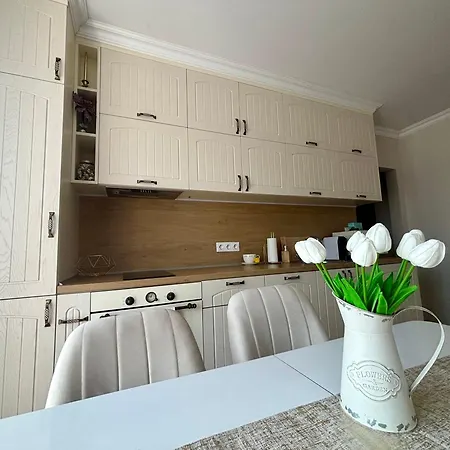 Apartment Triumph
